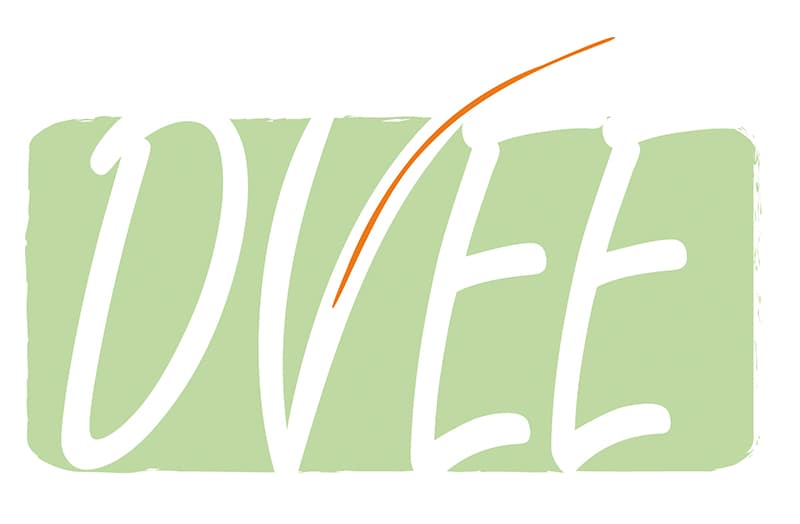 DVEE Logo